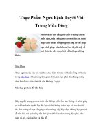 Thực Phẩm Ngừa Bệnh Tuyệt Vời Trong Mùa Đông doc