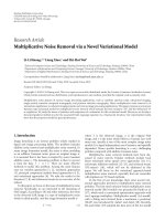 Báo cáo sinh học: 