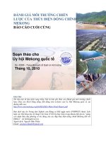 ĐÁNH GIÁ MÔI TRưỜNG CHIẾN LưỢC CỦA THỦY ĐIỆN DÕNG CHÍNH MEKONG BÁO CÁO CUỐI CÙNG