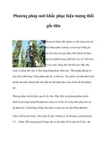 Phương pháp mới khắc phục hiện tượng thối gốc tiêu ppt