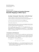 Báo cáo hóa học: 