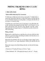 PHÒNG TRỊ BỆNH CHO CÁ LÓC BÔNG docx