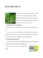 Xử Lý Hoa Trái Vụ pptx