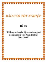 Đề tài “Kế hoạch chuyển dịch cơ cấu ngành nông nghiệp Việt Nam thời kỳ 2001-2005”. pptx