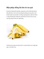 Biện pháp chống lão hóa từ rau quả doc