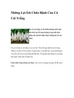 Những Lợi Ích Chữa Bệnh Của Củ Cải Trắng pot