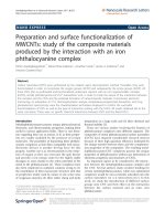 Asedegbega-Nieto et al. Nanoscale Research Letters 2011, 6:353 pot