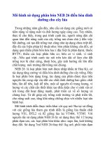 Mô hình sử dụng phân bón NEB 26 điều hòa dinh dưỡng cho cây lúa ppt