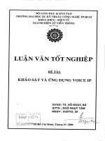 Khảo sát và ứng dụng Voice IP