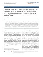 Báo cáo hóa học: 