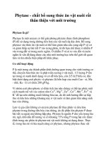 Phytase - chất bổ sung thức ăn vật nuôi rất thân thiện với môi trường ppt