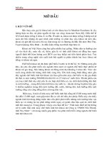 Thiết kế hệ thống xử lý nước thải nhà máy chế biến tinh bột khoai mì Công ty TNHH Tấn Thành, tỉnh tây Ninh với công suất 900m3 ngày.đêm