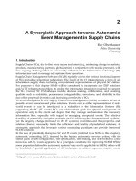 Supply Chain, The Way to Flat Organisation Part 2 ppt