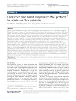 Báo cáo hóa học: 