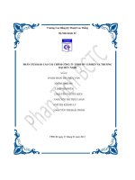 đề tài phân tích tình hình hoạt động kinh doanh của công ty tnhh thương mại dịch vụ hữu nghị