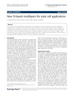 Báo cáo hóa học: 