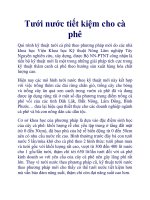 Tưới nước tiết kiệm cho cà phê ppt