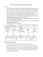 ĐỊA lý NGÀNH CÔNG NGHIỆP KIM LOẠI màu