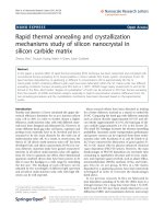 Báo cáo hóa học: 