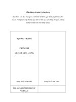 Mẫu chứng chỉ quản lý năng lượng doc