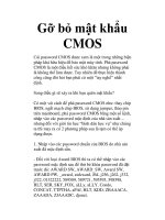 Gỡ bỏ mật khẩu CMOS pot