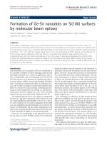 Báo cáo hóa học: 