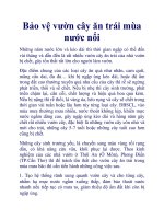 Bảo vệ vườn cây ăn trái mùa nước nổi pptx