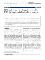 Báo cáo hóa học: 