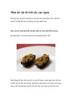 Món ăn vặt từ trái cây cực ngon pot