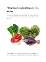 Những thực phẩm giúp phòng ngừa bệnh ung thư docx
