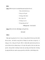 ĐỀ11_Ngữ Văn pot