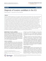 báo cáo hóa học: 