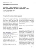 Báo cáo hóa học: 