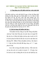 QUY TRÌNH CẢI TẠO ĐẤT DÙNG CHẾ PHẨM SINH HỌC VƯỜN SINH THÁ pot