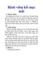 Bệnh viêm kết mạc mắt potx