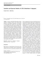 Báo cáo hóa học: 