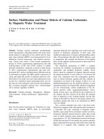 Báo cáo hóa học: 