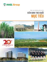 báo cáo thường niên 2012 hagl group kiên định theo đuổi mục tiêu