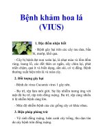 Bệnh khảm hoa lá (VIUS) potx