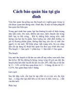 Cách bảo quản lúa tại gia đình pot