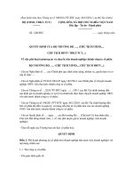 Mẫu quyết định Về việc phê duyệt phương án và chuyển (tên doanh nghiệp) thành công ty cổ phần pot