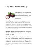 Công Dụng Của Quả Măng Cụt potx