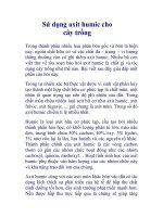 Sử dụng axit humic cho cây trồng docx