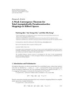 Báo cáo hóa học: 