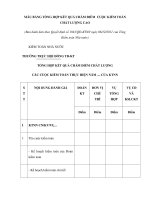 MẪU BẢNG TỔNG HỢP KẾT QUẢ CHẤM ĐIỂM CUỘC KIỂM TOÁN CHẤT LƯỢNG CAO doc