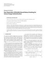 Báo cáo hóa học: 