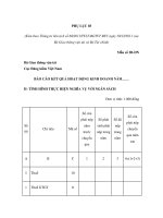 MẪU BÁO CÁO KẾT QUẢ HOẠT ĐỘNG KINH DOANH NĂM docx