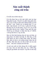 Sản xuất thành công củi trấu doc