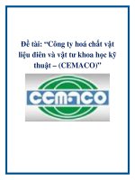 Đề tài: “Công ty hoá chất vật liệu điên và vật tư khoa học kỹ thuật – (CEMACO)” docx