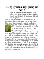Đăng ký nhãn hiệu giống lúa NP12 potx